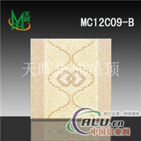 供应铝天花高等工艺MC12C09B