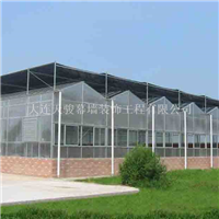 铝板玻璃大棚专业设计施工