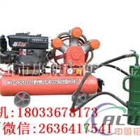 气动植桩机便携式打桩机厂家
